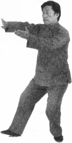 Figure 9-13