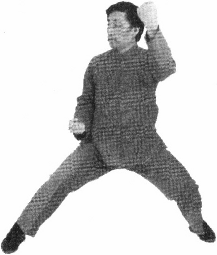 Figure 9-218