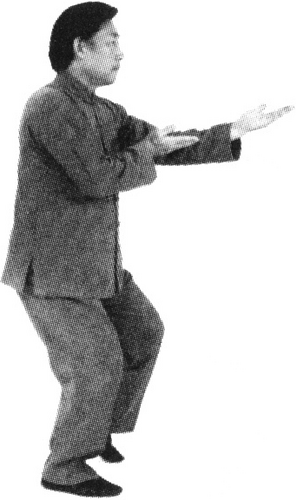 Figure 9-238