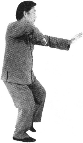 Figure 9-244