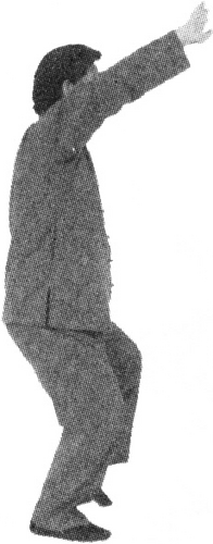 Figure 9-245