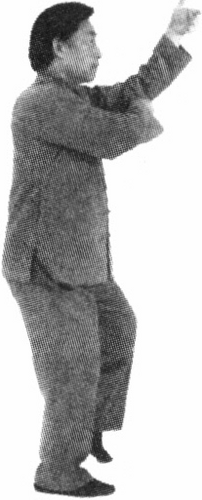 Figure 9-249