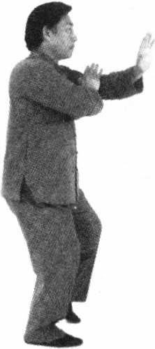 Figure 9-251