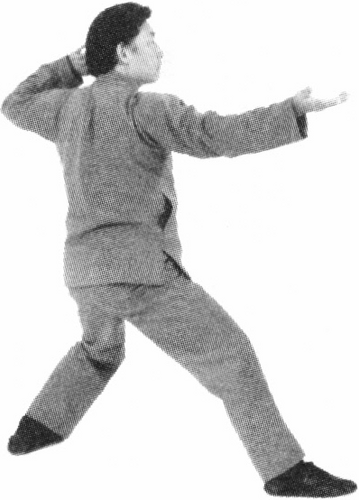 Figure 9-254