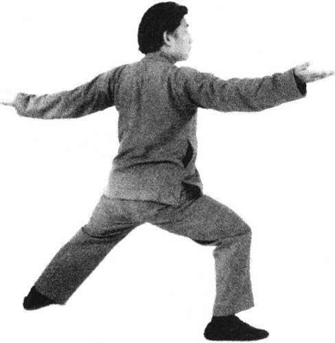 Figure 9-261