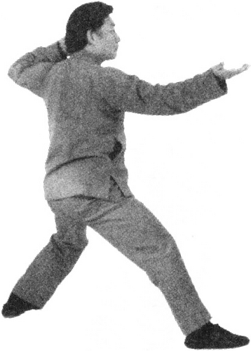 Figure 9-262
