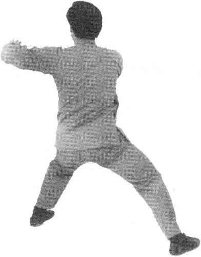 Figure 9-273