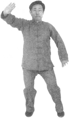 Figure 9-33