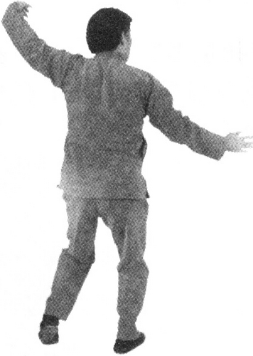 Figure 9-335