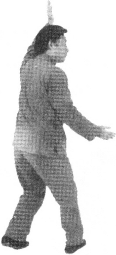 Figure 9-336