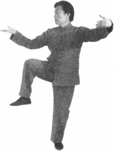 Figure 9-363