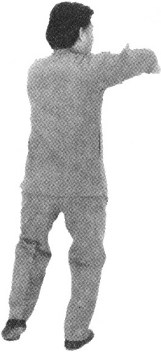 Figure 9-417