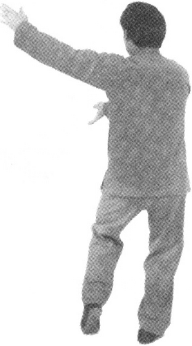 Figure 9-420