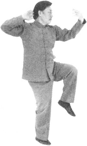 Figure 9-432