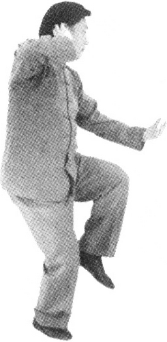 Figure 9-433