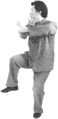Figure 9-441