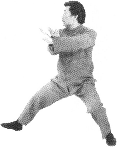 Figure 9-442
