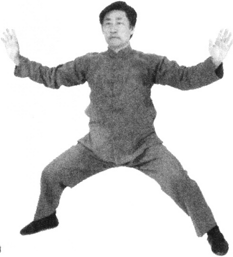 Figure 9-446