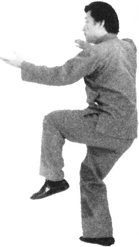 Figure 9-454