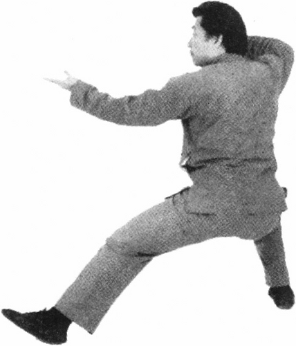 Figure 9-455
