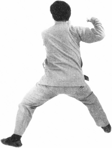 Figure 9-457