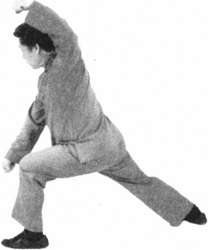 Figure 9-460