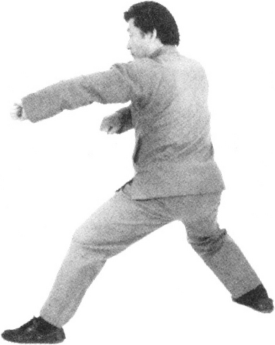 Figure 9-461