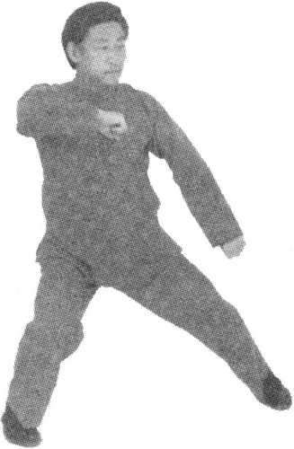 Figure 9-462 (Appendix)
