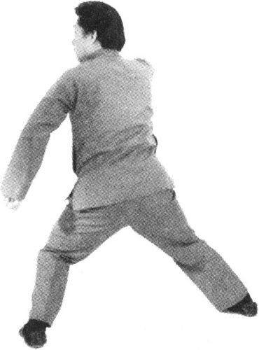 Figure 9-463