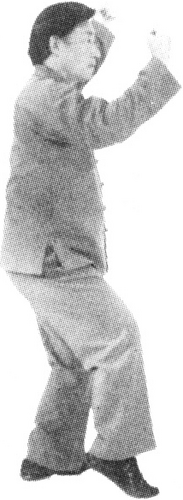 Figure 9-465