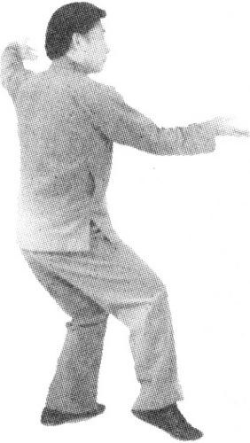 Figure 9-493