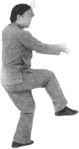 Figure 9-494
