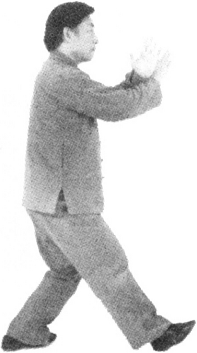 Figure 9-495