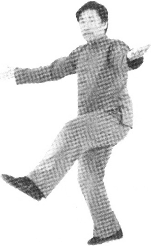 Figure 9-499