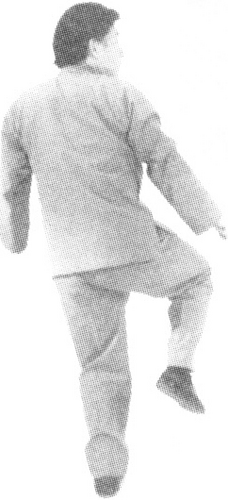 Figure 9-506
