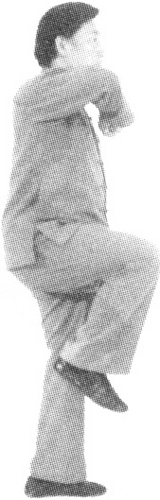 Figure 9-507
