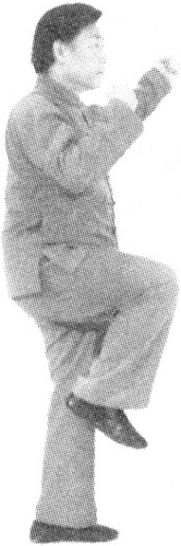 Figure 9-508