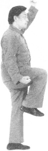 Figure 9-509