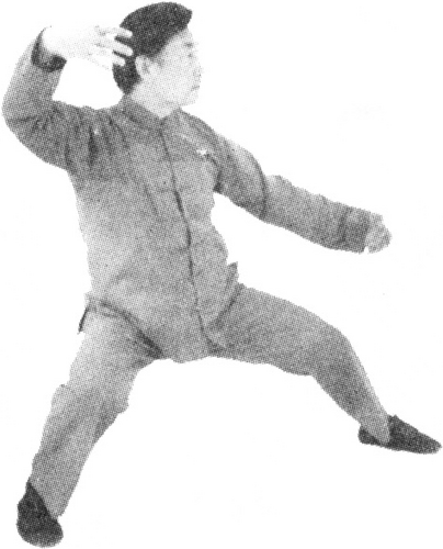 Figure 9-519