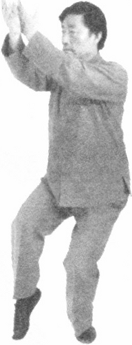 Figure 9-539