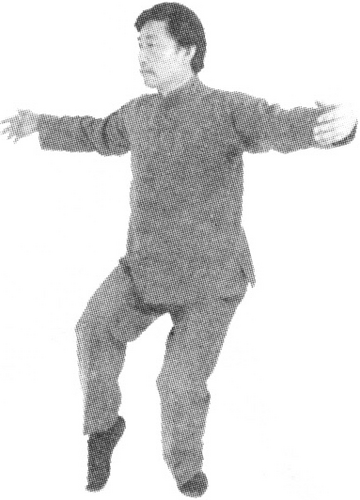 Figure 9-541
