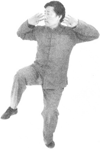 Figure 9-542
