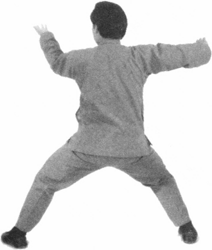 Figure 9-593