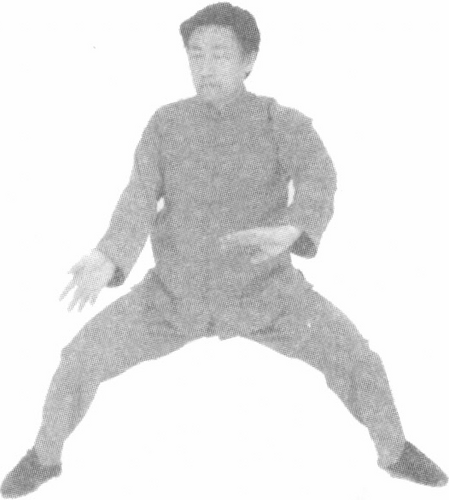 Figure 9-595 Appendix