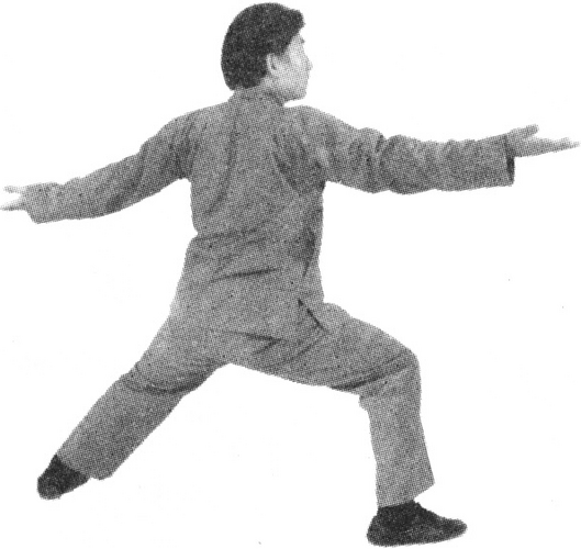 Figure 9-694