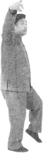 Figure 9-744