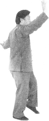 Figure 9-745