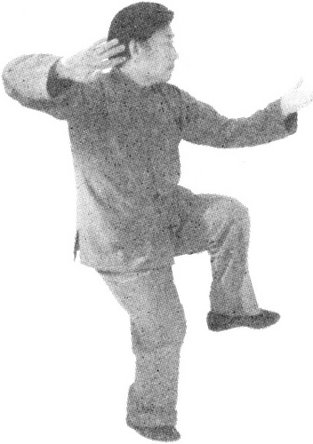 Figure 9-747