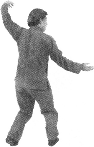 Figure 9-765