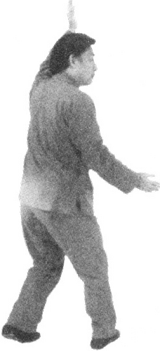 Figure 9-766